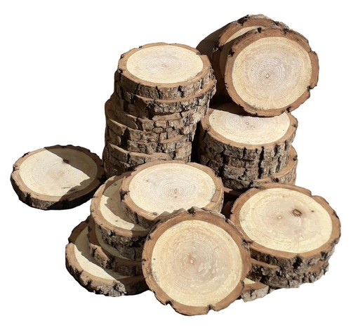 60x wooden slices - 60x, log