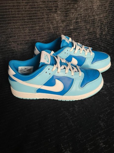 Nike dunk trainers - dunk, size
