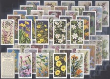 WILLS-FULL SET- WILD FLOWERS