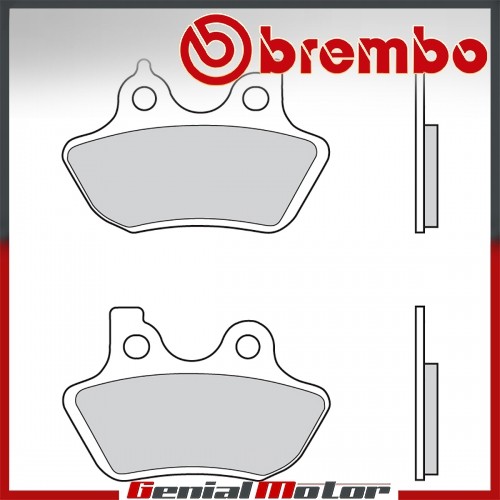Rear brembo brake - rear,