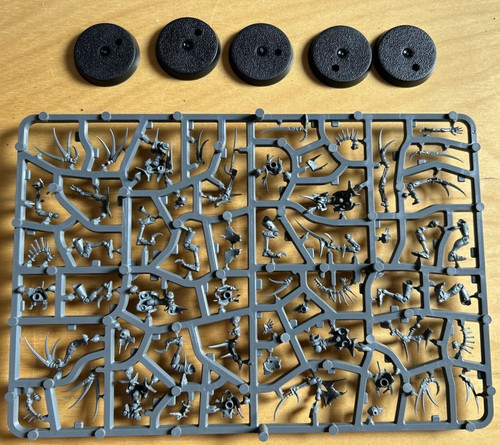 Necron flayed ones squad - ones,