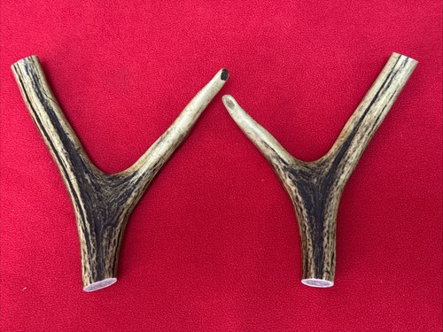 Pieces red deer - pieces,