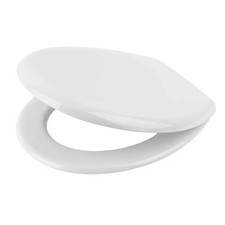 Swirl Toilet Seat