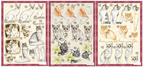 Craft die cut - die,