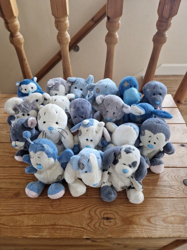 You tatty teddies my - to,