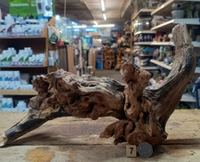 Gnarly Scapers Wood Aquarium