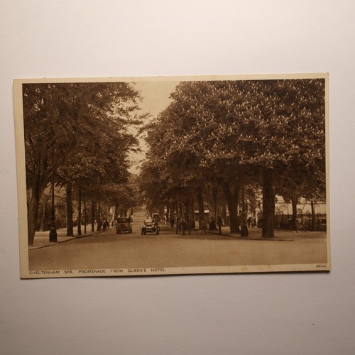 Vintage postcard promenade - postcard,