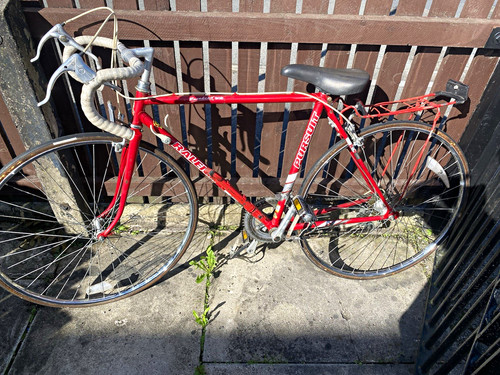Raleigh pursuit racebred road - raleigh,