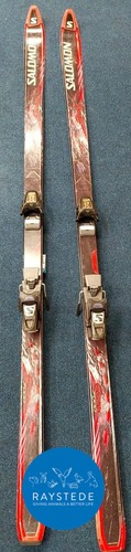 Salomon alpine skis evolution - alpine,