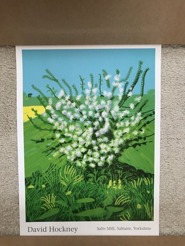 David hockney 30th april 2011 - april,