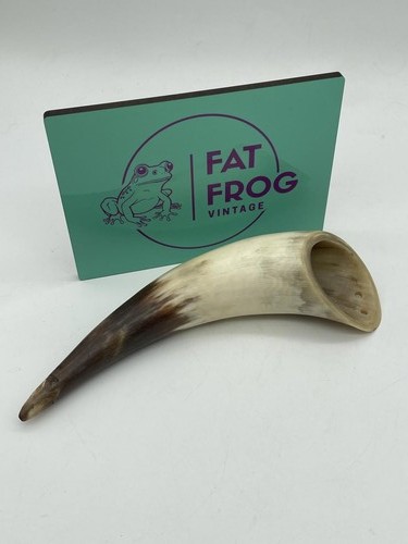Vintage cow bull horn - vintage,