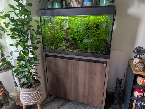 Fluval roma 125l fish tank - fluval,