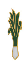 Wales St. David's Day Pin