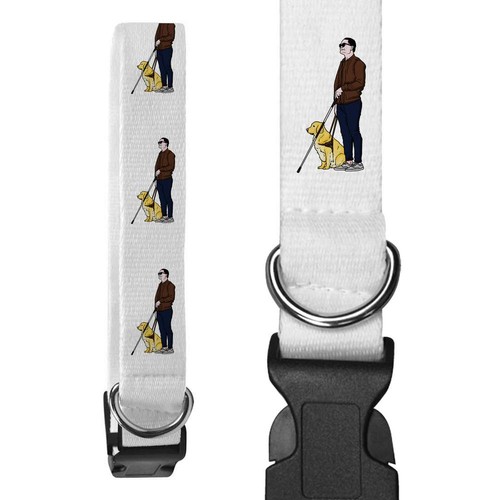 Blind man guide dog - man, &