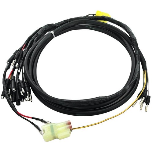 Wiring harness assembly - wiring,
