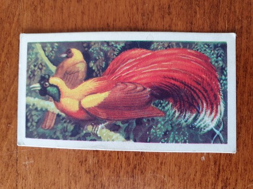 Brooke bond tea cards - brooke,