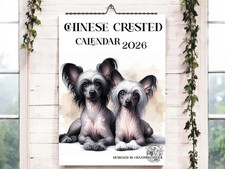 Chinese Crested 2026-Dog