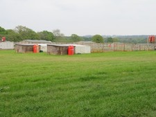 Photo 6x4 Pheasant breeding