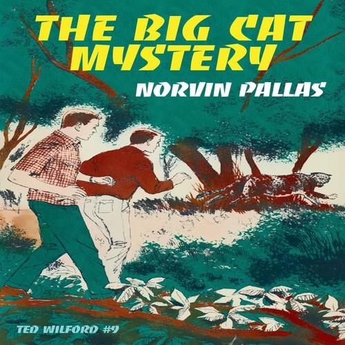 The big cat - big, mystery