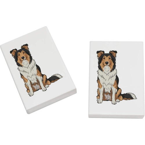 Collie dog sitting - x,