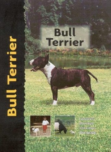 Bull terrier - bull, book)