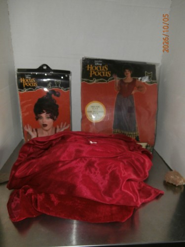 Mary sanderson adult plus 2xl - mary,