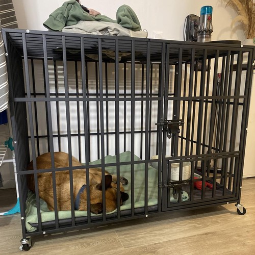 Xxl large dog crate robust - xxl,
