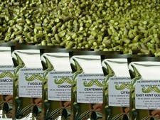 225g Hops - Citra Cascade Fuggles Saaz Simcoe Amarillo Rakau Nectaron Home Brew