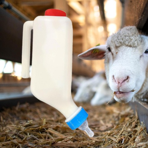 Livestock feeding bottle calf - feeding,