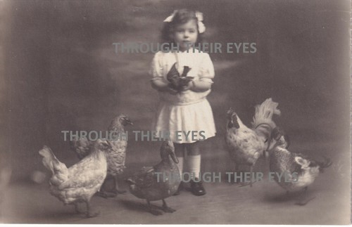 Edwardian photos cute - edwardian, girl