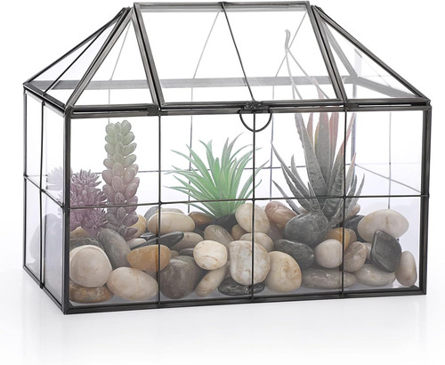 Black glass plant - plant, terrarium