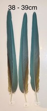 Parrot Macaw Feather Crafts