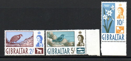 Gibraltar qe2 - ,
