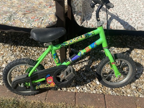 Raleigh kids green frame