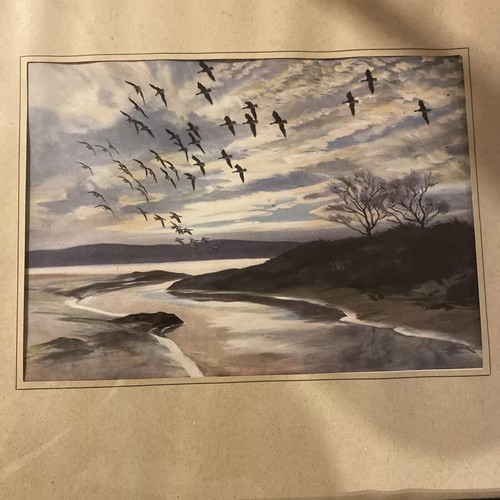 Vintage framed peter scott - vintage,