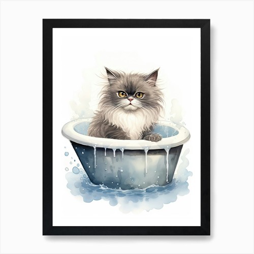 Himalayan cat bathtub - cat,