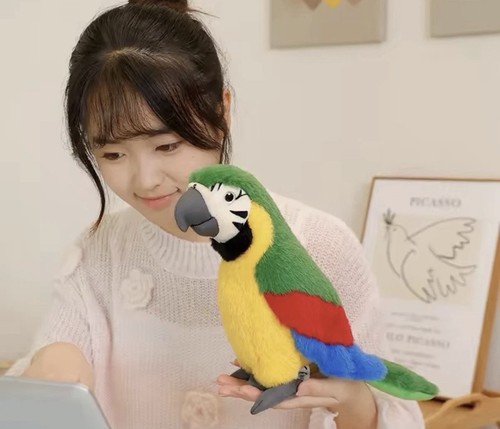 Simulation colorful parrot - colorful,