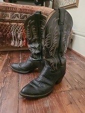 Justin Shark, Shark Cowboy