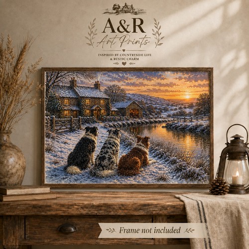Winter border collies - winter,
