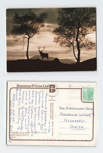 Vintage postcard lone stag - lone,
