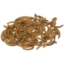 Bucktons Dried Mealworms Premium Wild Bird Food 250g 500g 1kg 2kg 5kg Loose Bags