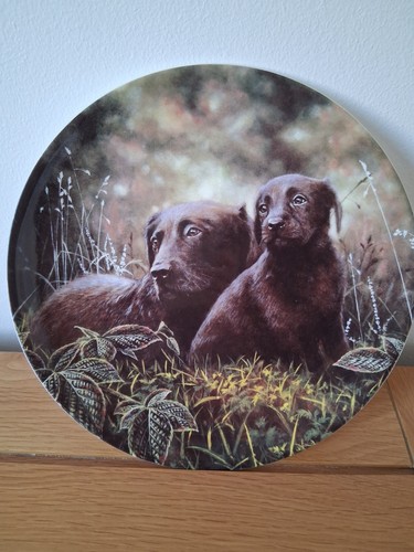 Lovely wedgwood danbury - danbury, mint