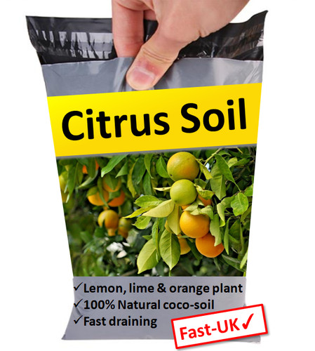 Citrus plant compost - citrus, soil