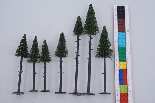 Noch fir trees - noch, trunk