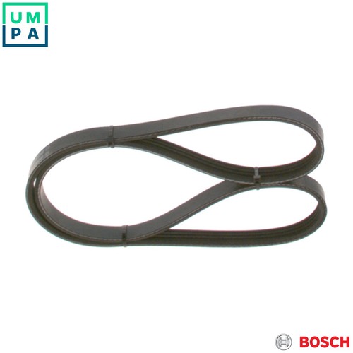 Vribbed belt 987 - belt, 1