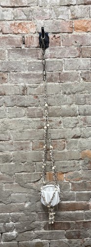 Vintage sea shell - sea,
