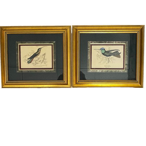Antique framed hummingbird - antique,