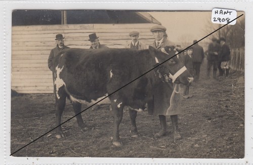 Alresford 1913 agricultural - 1913,