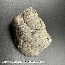 Ichthyosaur Coprolite Fossil