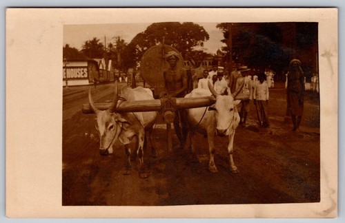 Man driving cart with - cart, oxen